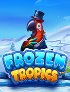 เกมไพ่ วงเหล้าสล็อต เครดิตฟรีไม่ต้องฝาก มาพร้อมความสนุก